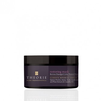 Theorie Pure Professional Restoring Mask 193g
